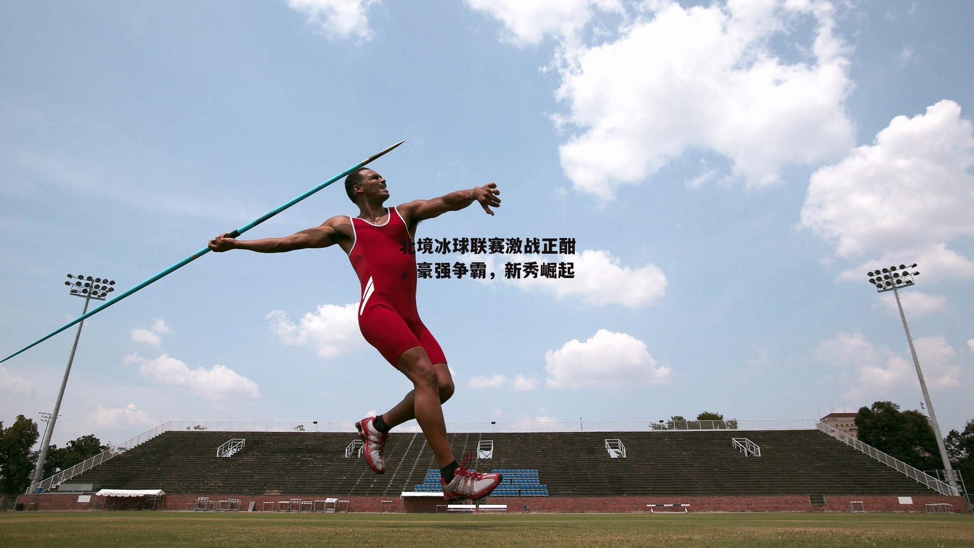 【乐竞平台】北境冰球联赛激战正酣，豪强争霸，新秀崛起