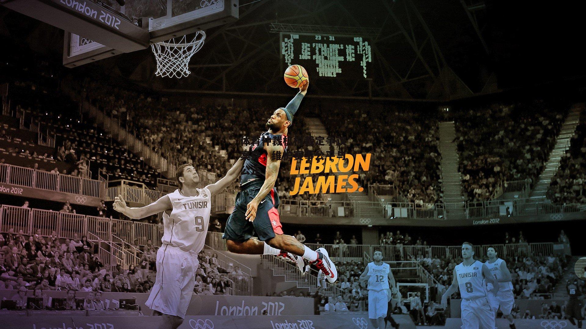 体育仲裁机构裁定争议案件，维护赛事公平与公正